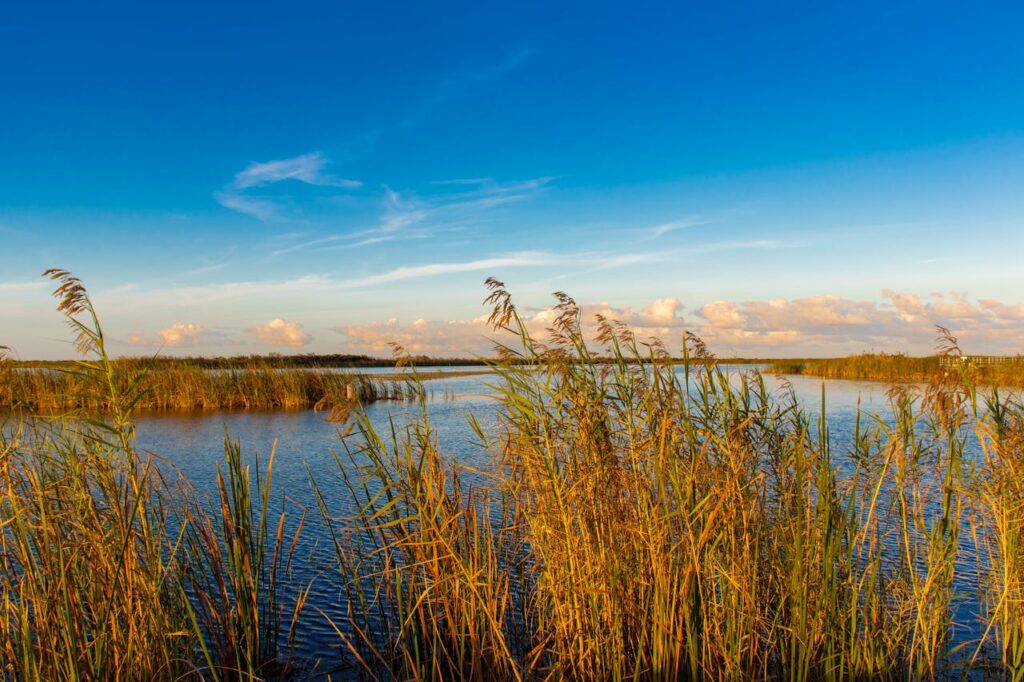 Flevoland: De Grootste Droogmakerij van Nederland
