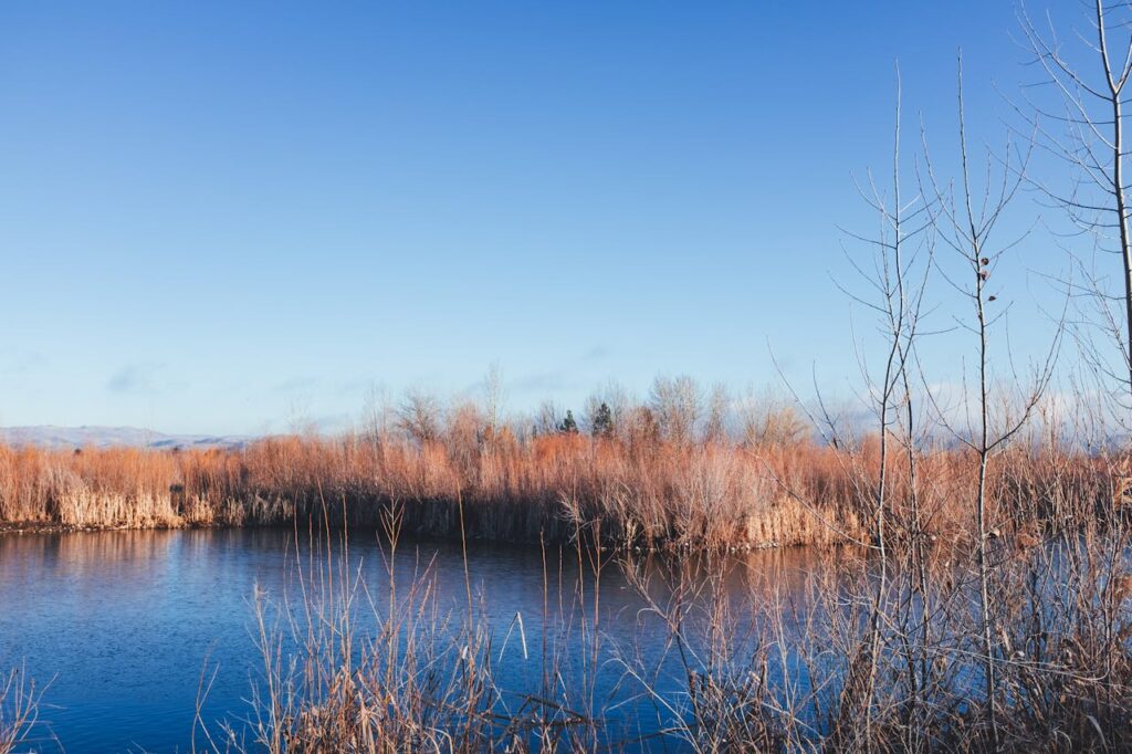 Ontdek het groene en waterrijke Flevoland te voet