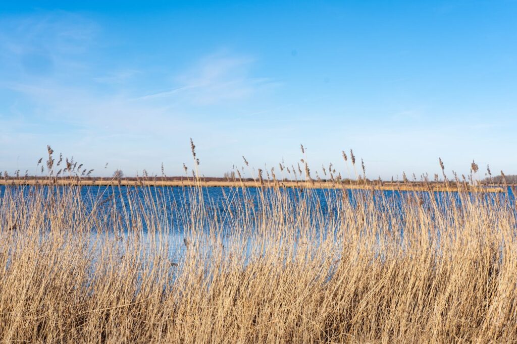 Hoe Flevoland uit het water werd gemaakt