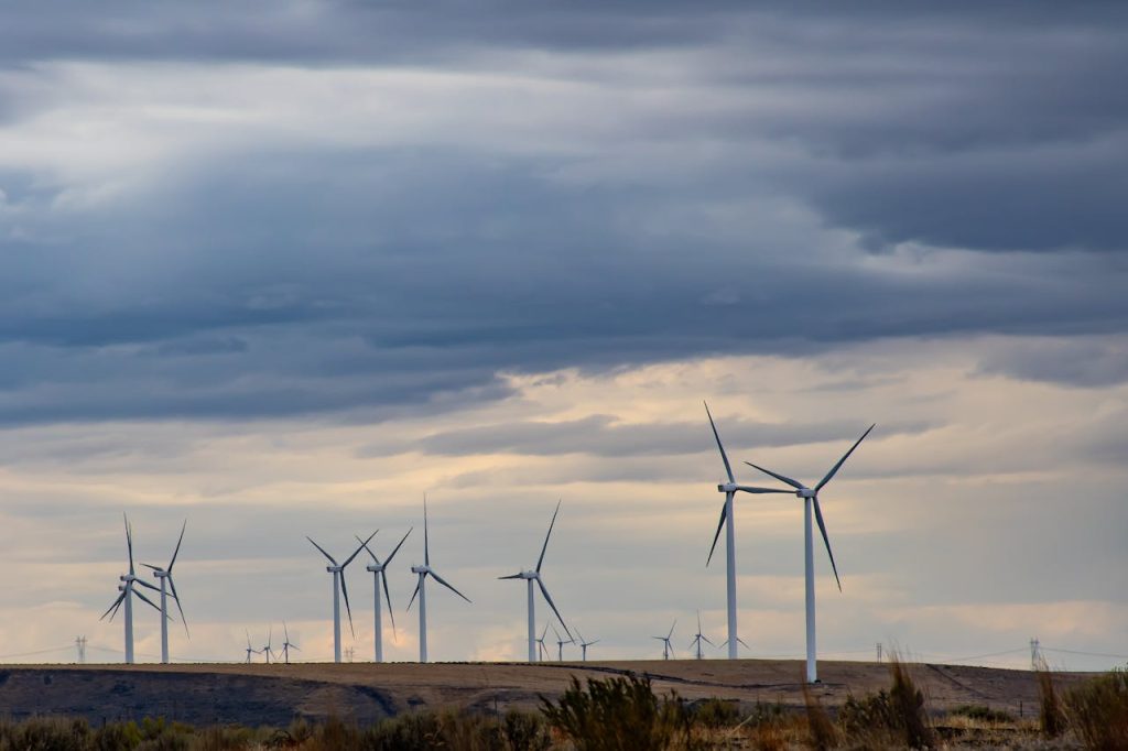Flevoland: Het kloppende hart van de windenergie in Nederland