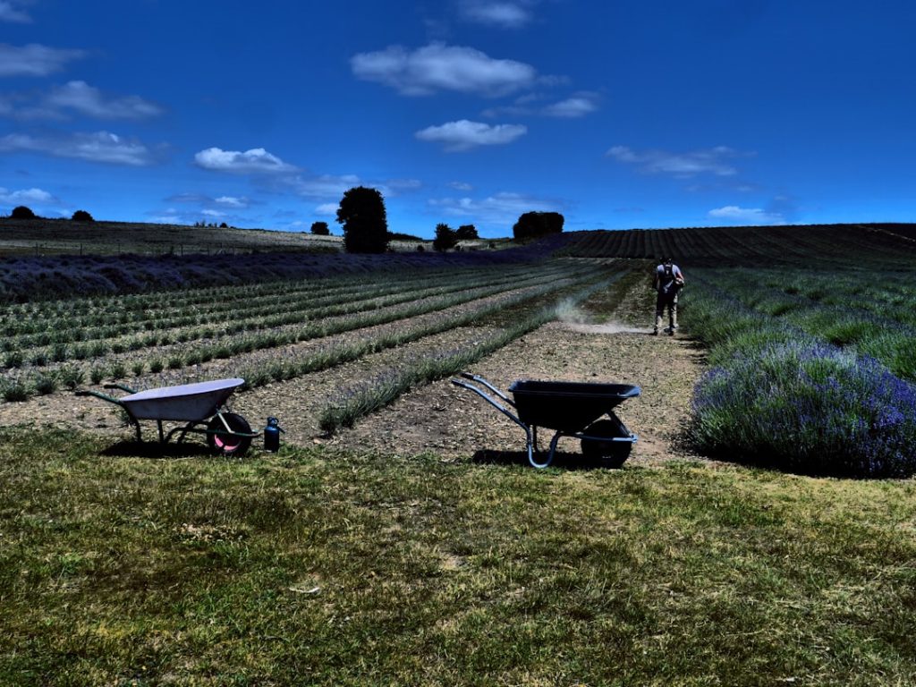Rookgeur uit huis voorgoed verwijderen: praktische oplossingen voor een frisse woning